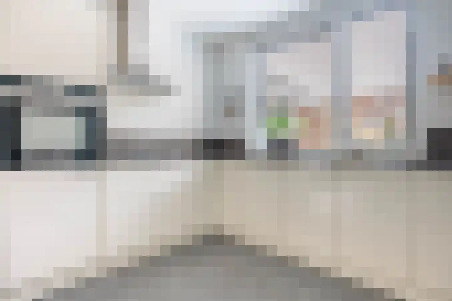 Klimopzoom 91 Leiderdorp thumbnail 7