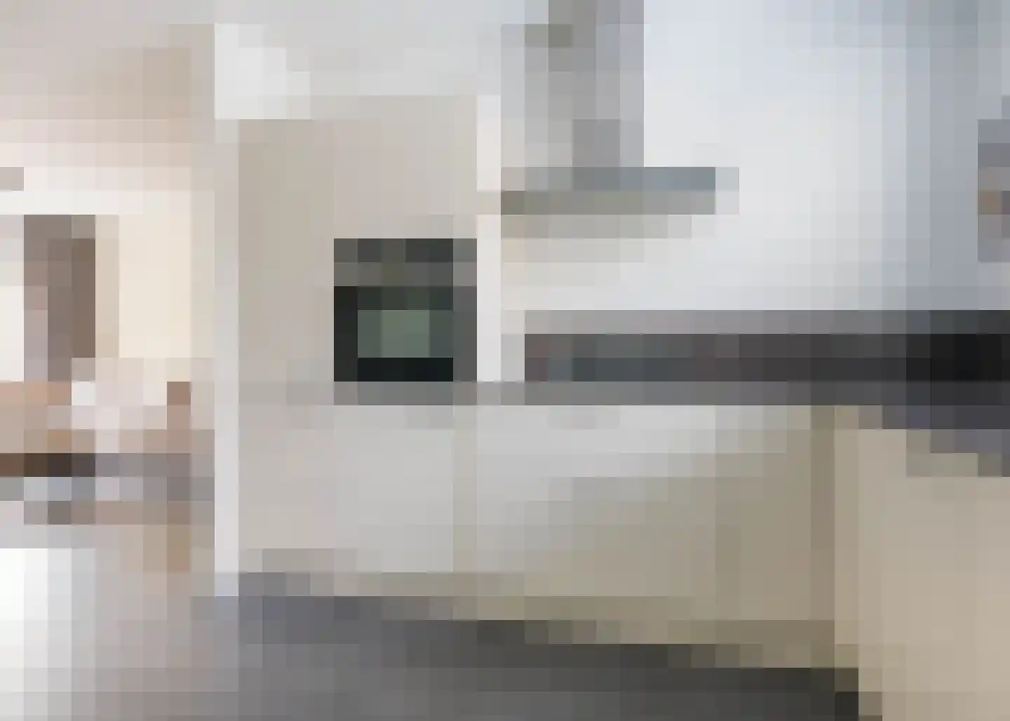 Klimopzoom 91 Leiderdorp thumbnail 8