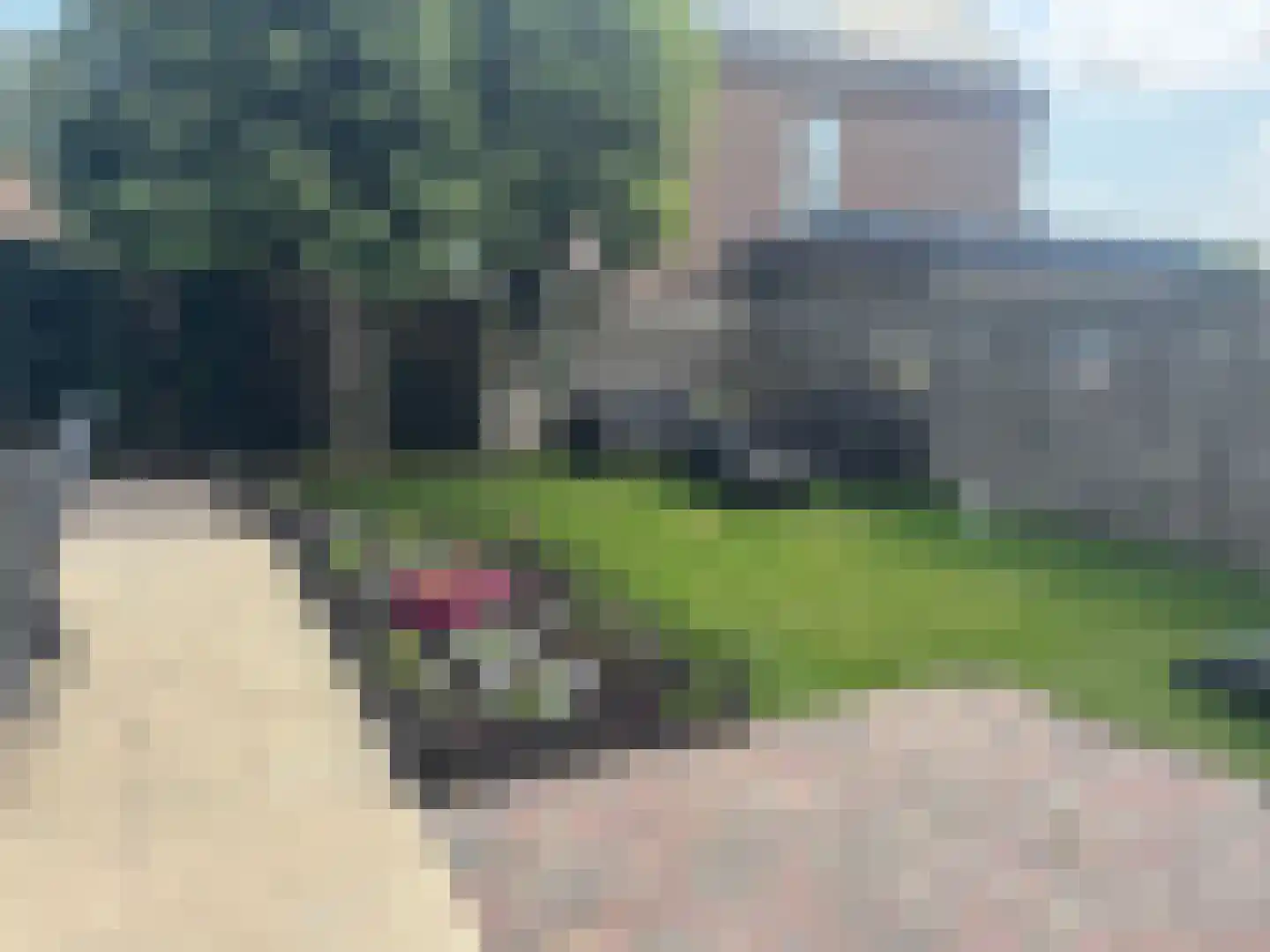 Klimpstraat 18 De Cocksdorp thumbnail 29