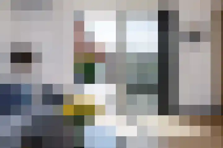 Klimroos 12 Zevenhuizen thumbnail 10