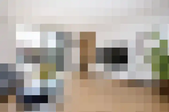 Klimroos 12 Zevenhuizen thumbnail 11