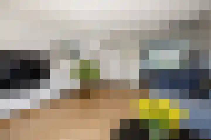 Klimroos 12 Zevenhuizen thumbnail 12