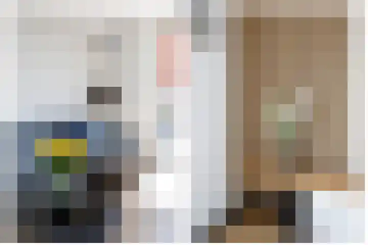 Klimroos 12 Zevenhuizen thumbnail 13