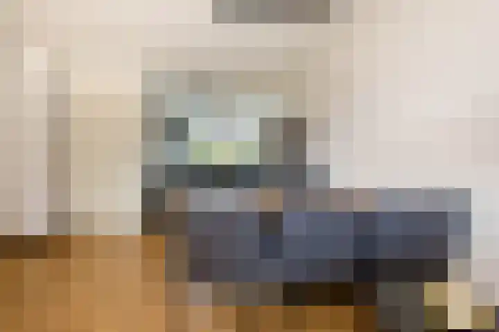 Klimroos 12 Zevenhuizen thumbnail 14