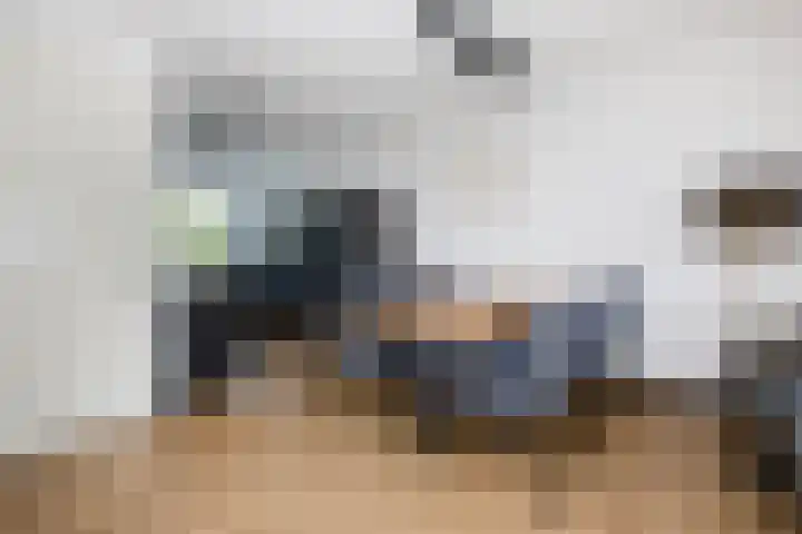 Klimroos 12 Zevenhuizen thumbnail 15