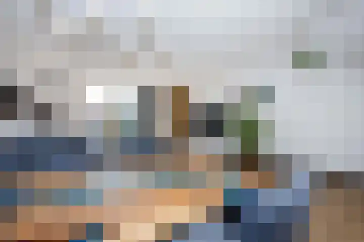 Klimroos 12 Zevenhuizen thumbnail 16