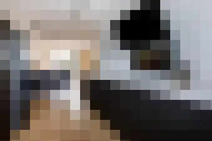 Klimroos 12 Zevenhuizen thumbnail 17