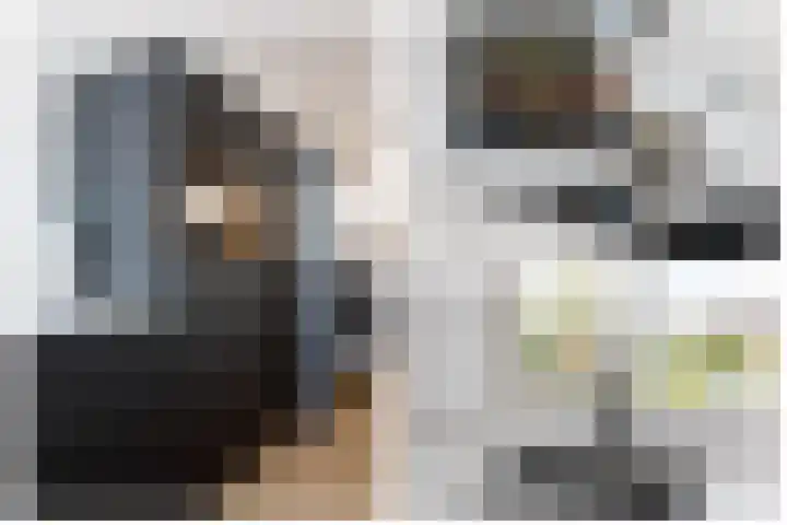 Klimroos 12 Zevenhuizen thumbnail 18