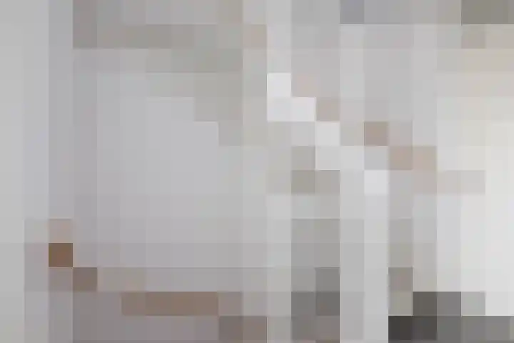 Klimroos 12 Zevenhuizen thumbnail 19