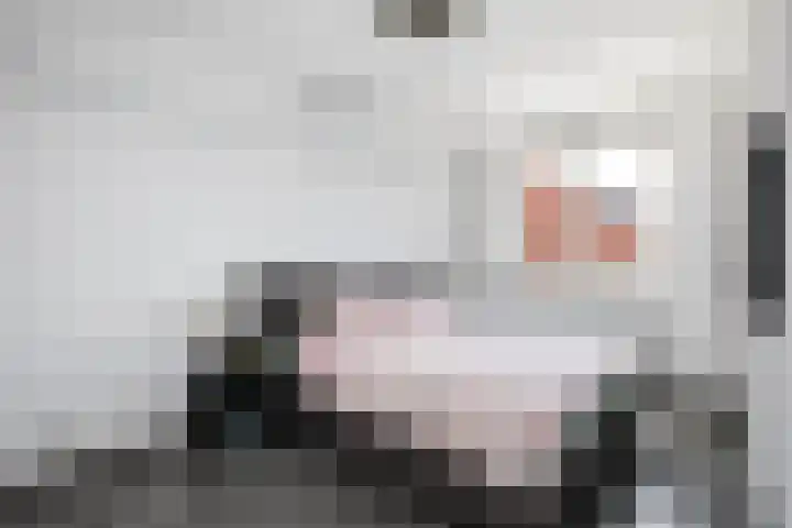 Klimroos 12 Zevenhuizen thumbnail 20
