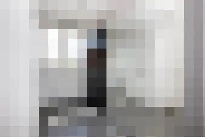 Klimroos 12 Zevenhuizen thumbnail 21