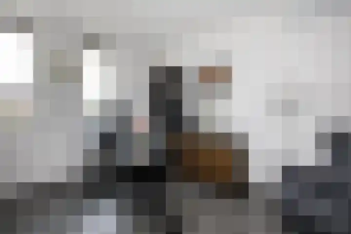 Klimroos 12 Zevenhuizen thumbnail 22