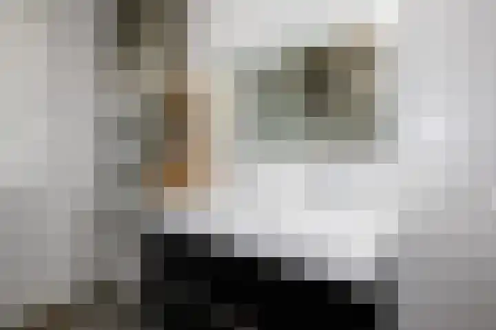 Klimroos 12 Zevenhuizen thumbnail 24