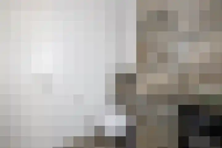 Klimroos 12 Zevenhuizen thumbnail 25