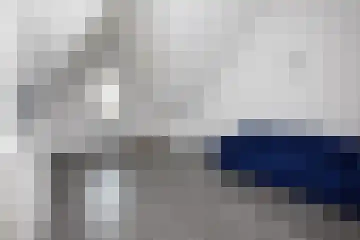 Klimroos 12 Zevenhuizen thumbnail 27