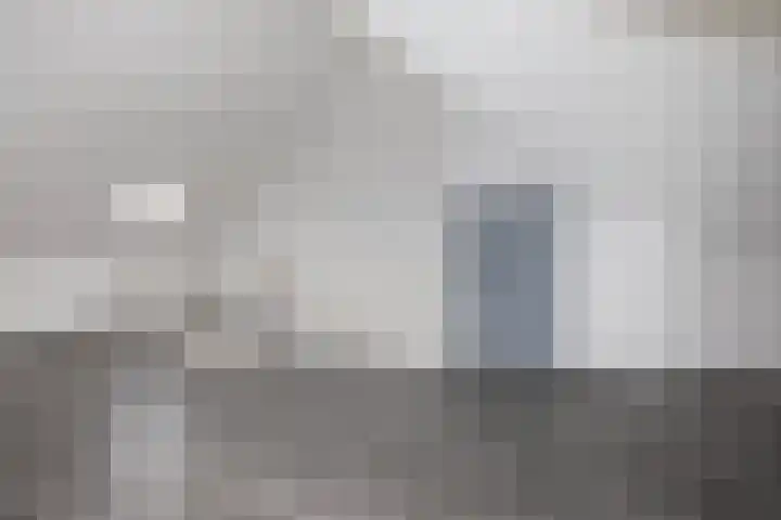 Klimroos 12 Zevenhuizen thumbnail 28
