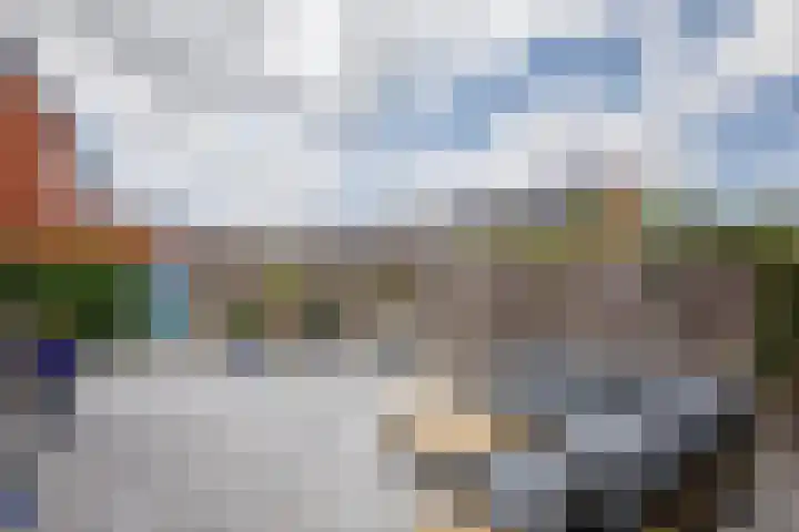 Klimroos 12 Zevenhuizen thumbnail 29