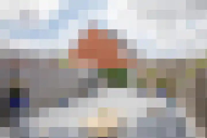 Klimroos 12 Zevenhuizen thumbnail 30