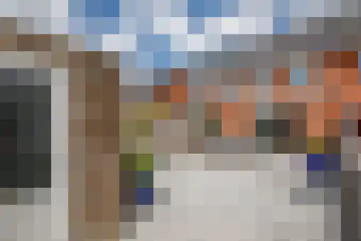 Klimroos 12 Zevenhuizen thumbnail 31