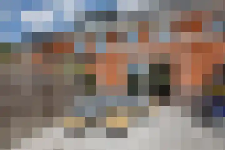 Klimroos 12 Zevenhuizen thumbnail 33