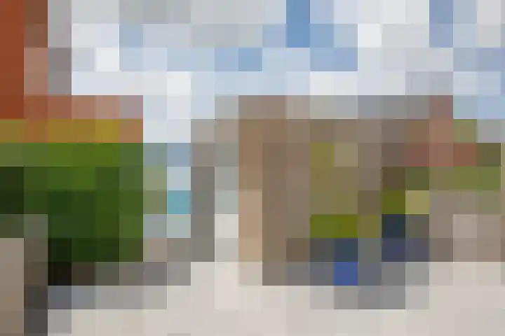 Klimroos 12 Zevenhuizen thumbnail 34