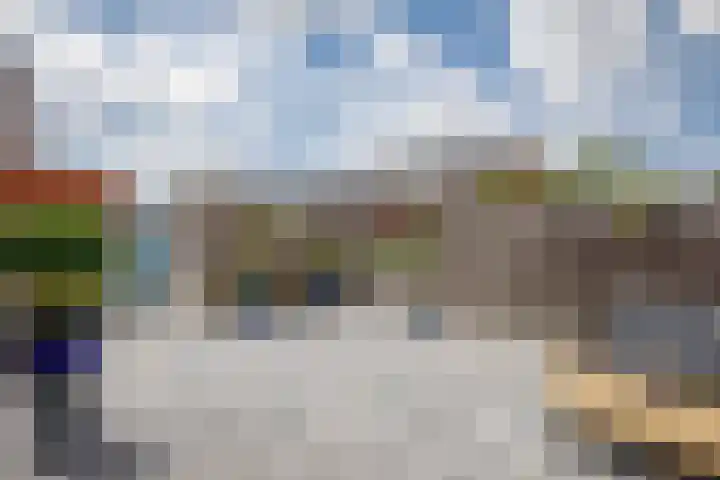 Klimroos 12 Zevenhuizen thumbnail 35