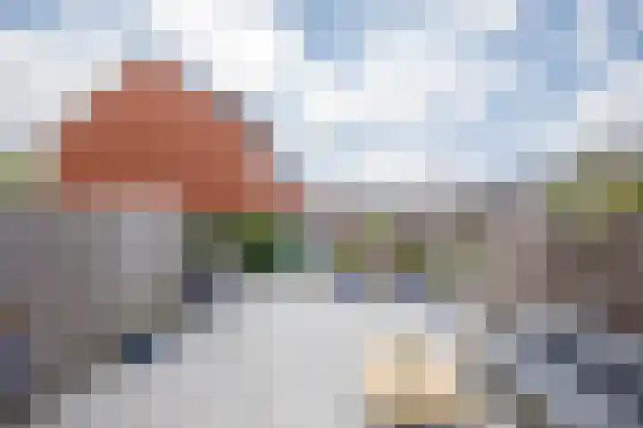 Klimroos 12 Zevenhuizen thumbnail 36