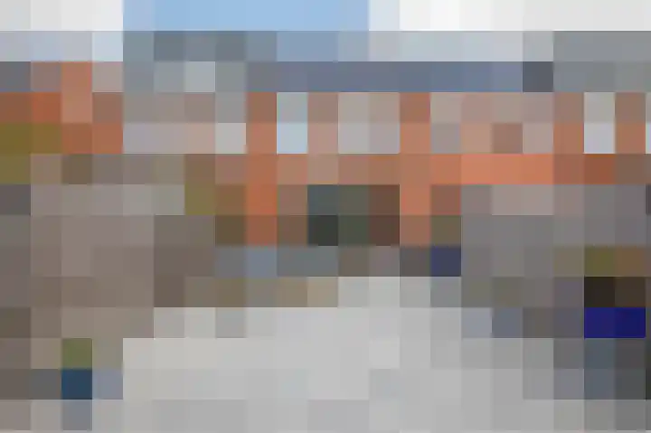 Klimroos 12 Zevenhuizen thumbnail 37