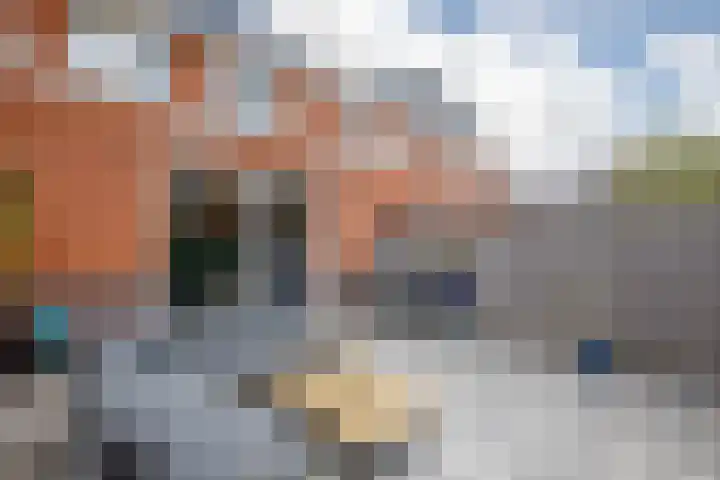 Klimroos 12 Zevenhuizen thumbnail 38
