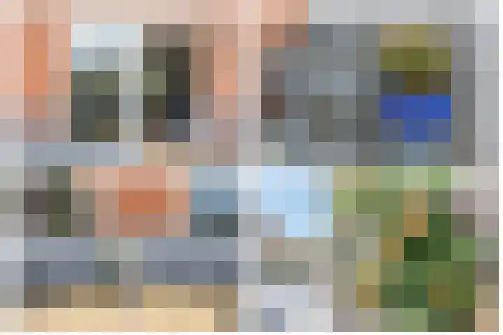 Klimroos 12 Zevenhuizen thumbnail 39