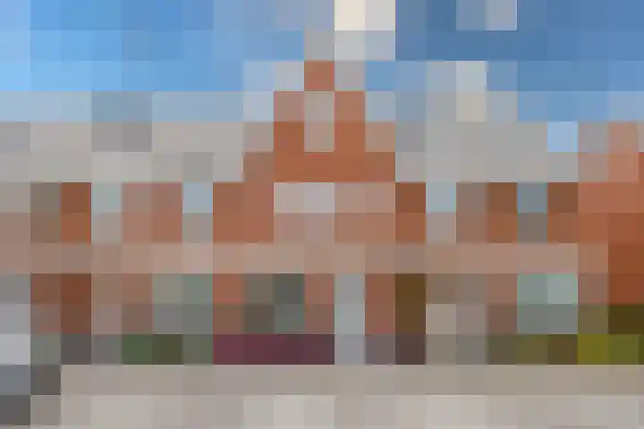 Klimroos 12 Zevenhuizen thumbnail 4