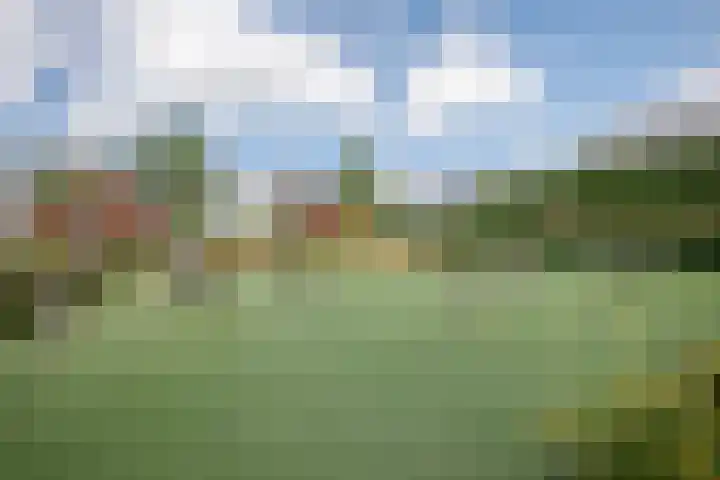 Klimroos 12 Zevenhuizen thumbnail 40