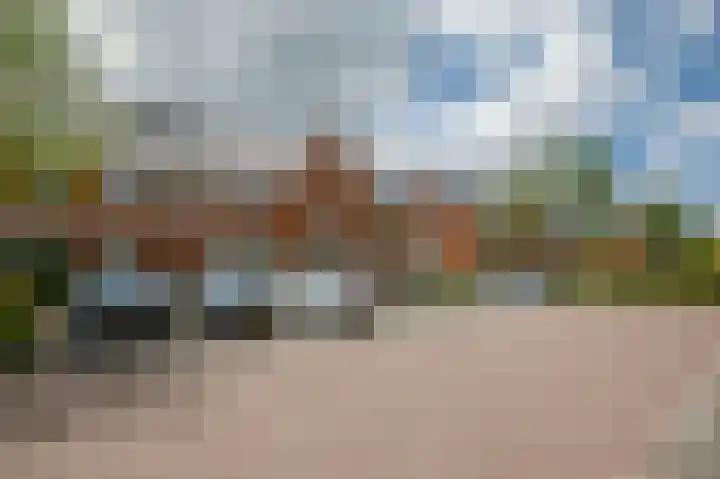 Klimroos 12 Zevenhuizen thumbnail 41