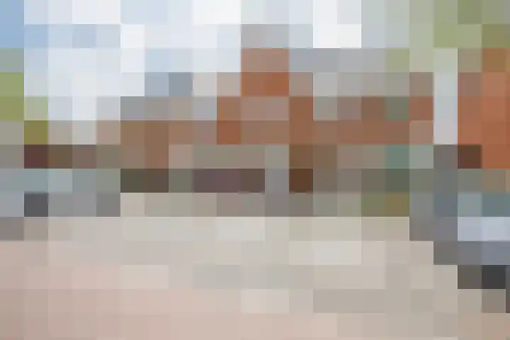 Klimroos 12 Zevenhuizen thumbnail 42