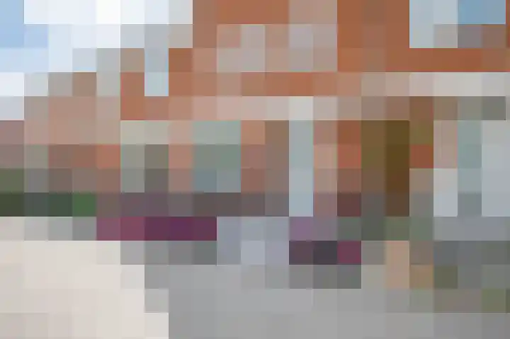 Klimroos 12 Zevenhuizen thumbnail 43