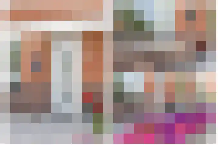 Klimroos 12 Zevenhuizen thumbnail 45