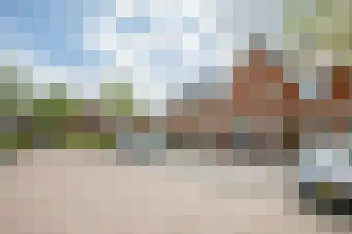 Klimroos 12 Zevenhuizen thumbnail 46