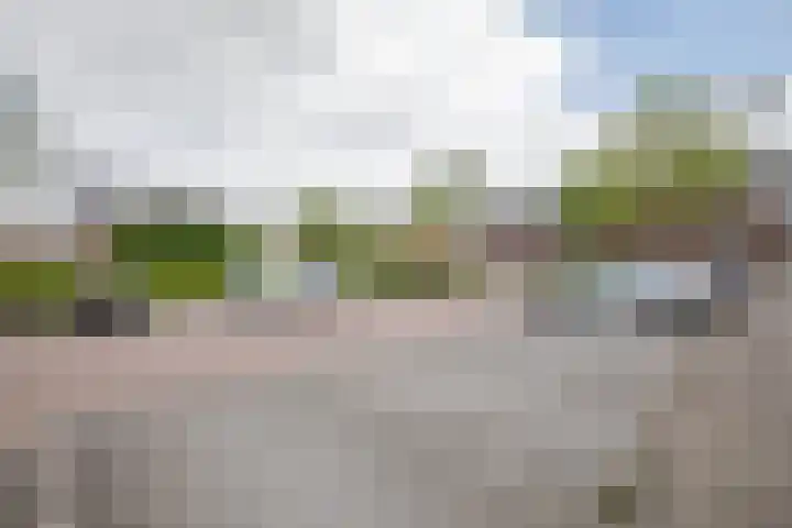 Klimroos 12 Zevenhuizen thumbnail 47