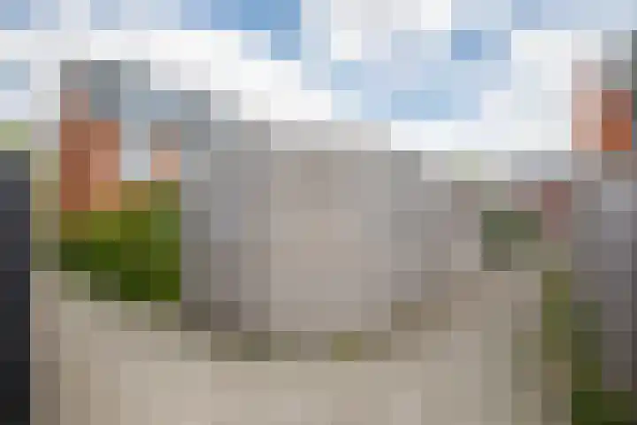 Klimroos 12 Zevenhuizen thumbnail 49