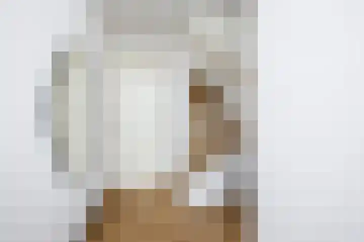 Klimroos 12 Zevenhuizen thumbnail 5