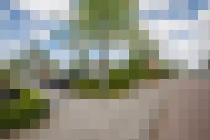 Klimroos 12 Zevenhuizen thumbnail 50