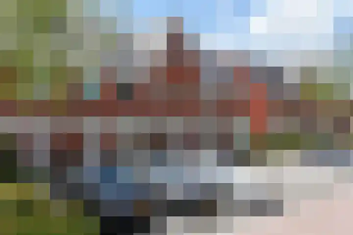 Klimroos 12 Zevenhuizen thumbnail 51