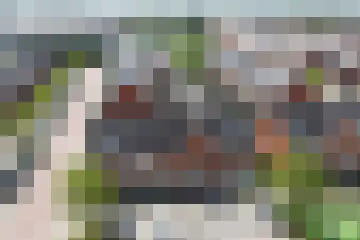 Klimroos 12 Zevenhuizen thumbnail 52