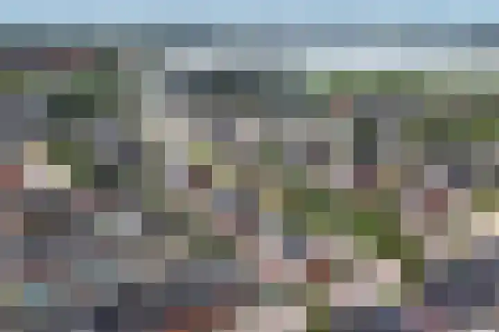 Klimroos 12 Zevenhuizen thumbnail 55