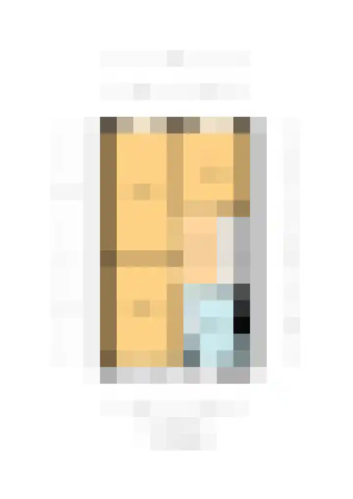 Klimroos 12 Zevenhuizen thumbnail 59