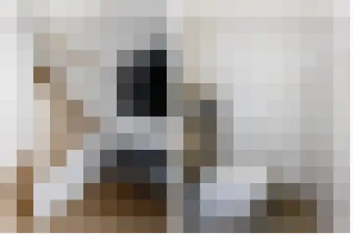 Klimroos 12 Zevenhuizen thumbnail 7