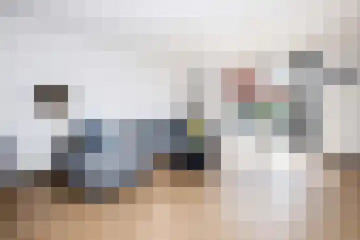 Klimroos 12 Zevenhuizen thumbnail 8