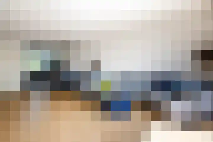 Klimroos 12 Zevenhuizen thumbnail 9