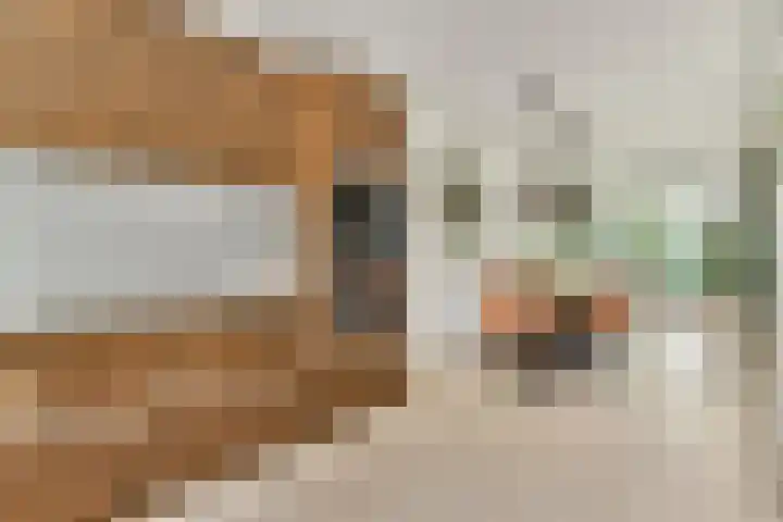 Klimroos 27 Leiden thumbnail 11