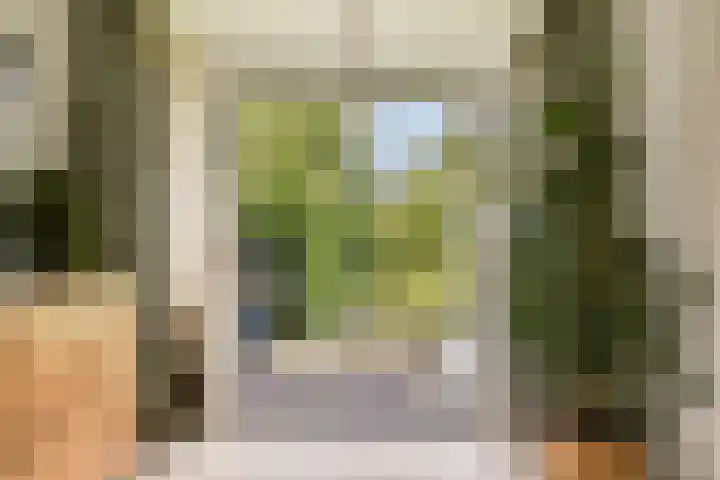 Klimroos 27 Leiden thumbnail 12